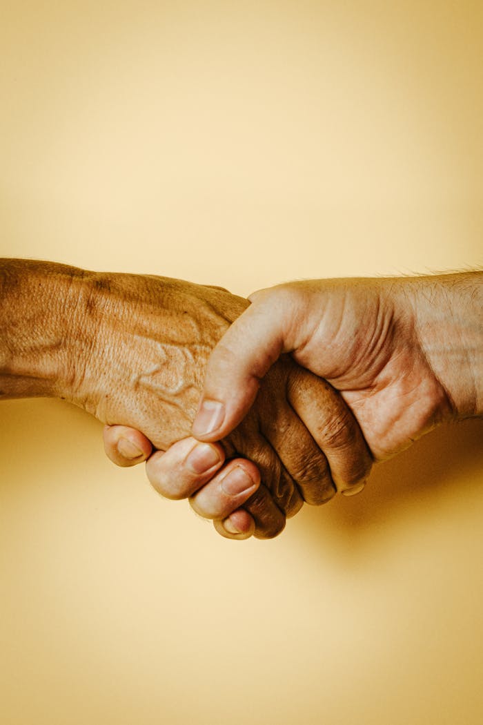 Crop person holding hand with veins of faceless ethnic aged person on yellow background in light room in modern studio